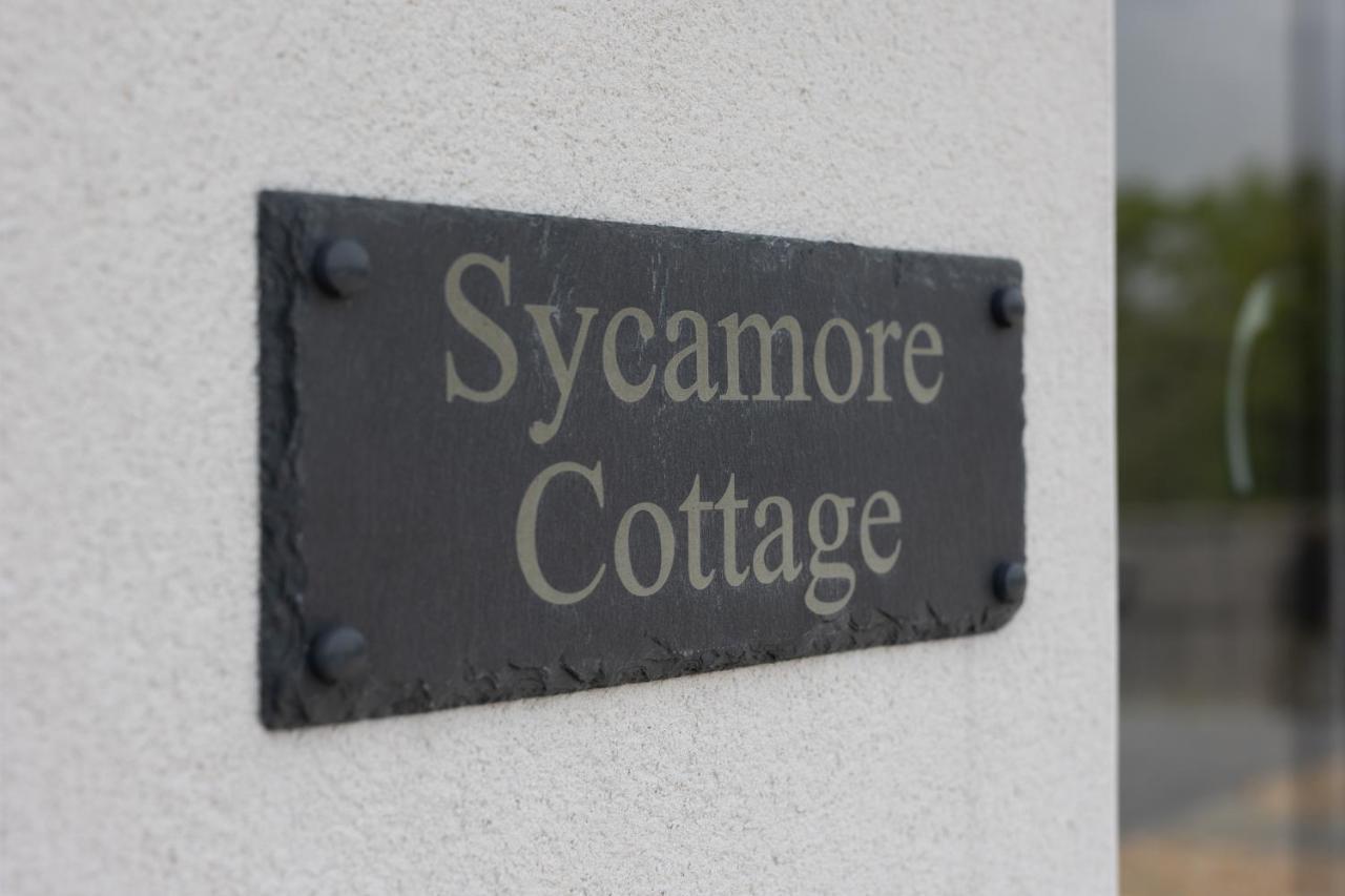 Sycamore Cottage Tenby Exterior foto
